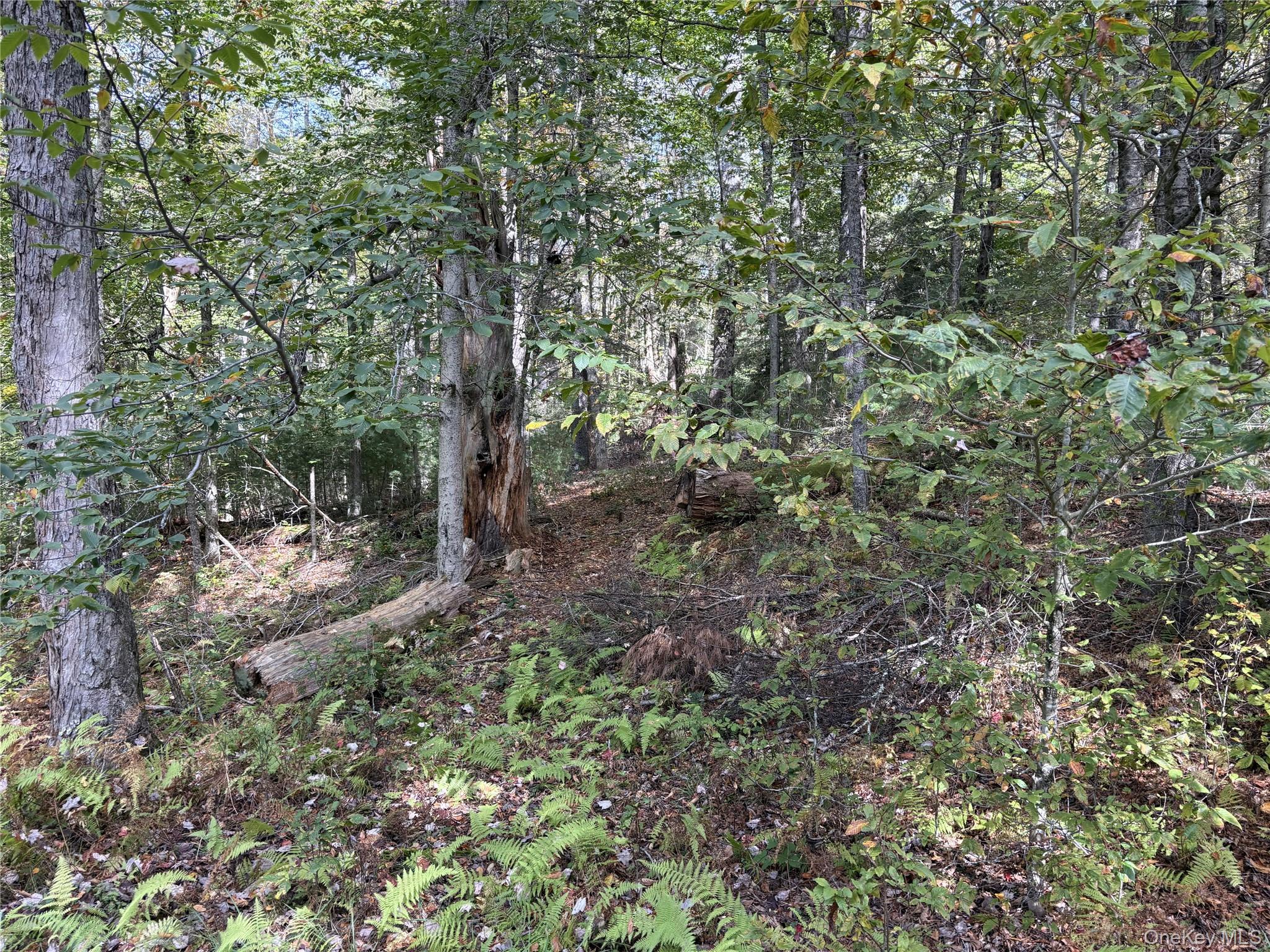 17 Lot 17 Desmond Crossing, Bethel, NY 12720