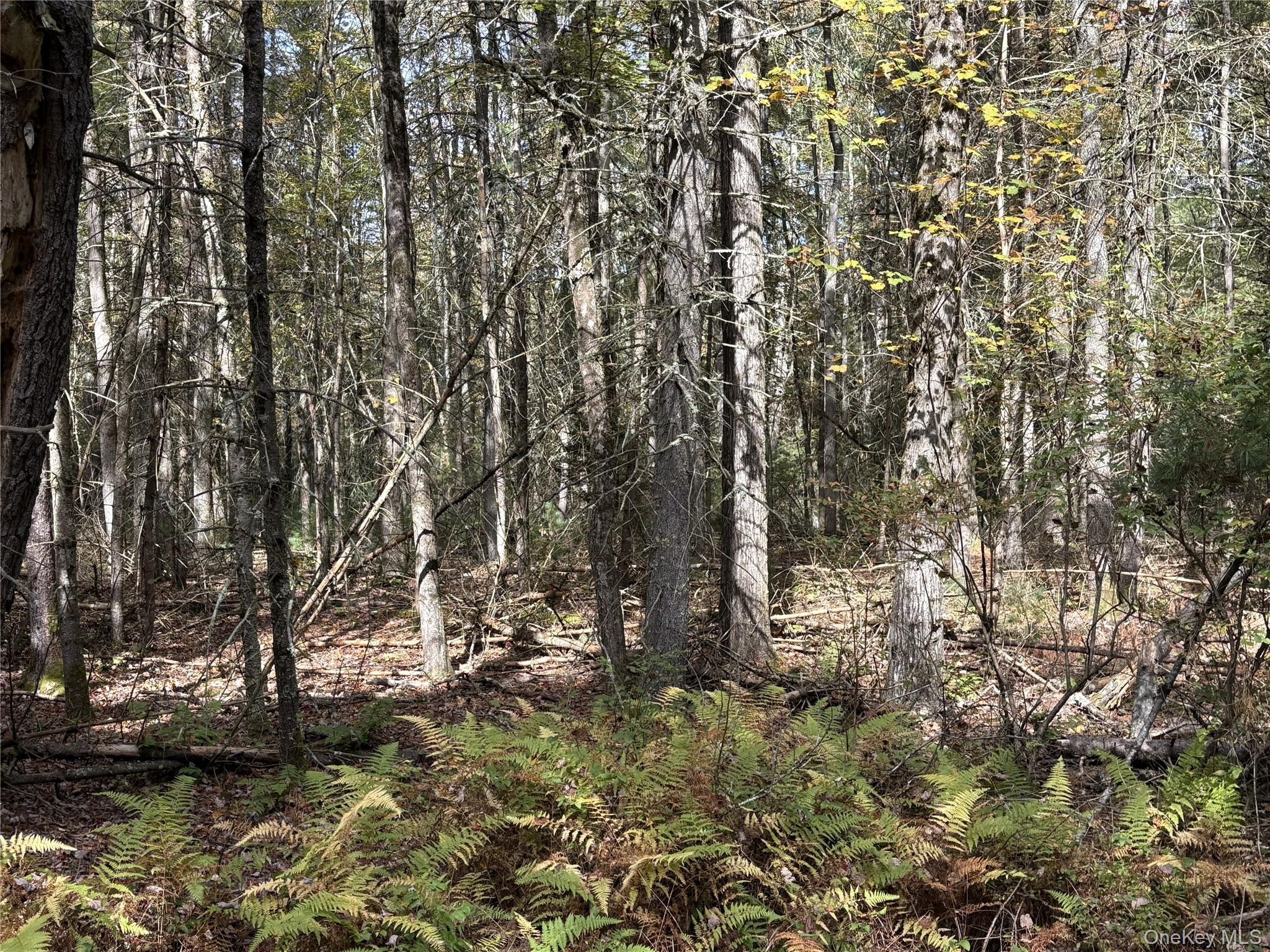 17 Lot 17 Desmond Crossing, Bethel, NY 12720