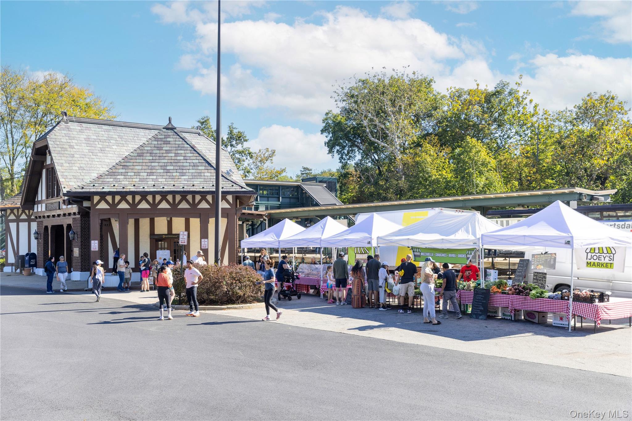 111 E Hartsdale Avenue # 4G, Hartsdale, NY 10530