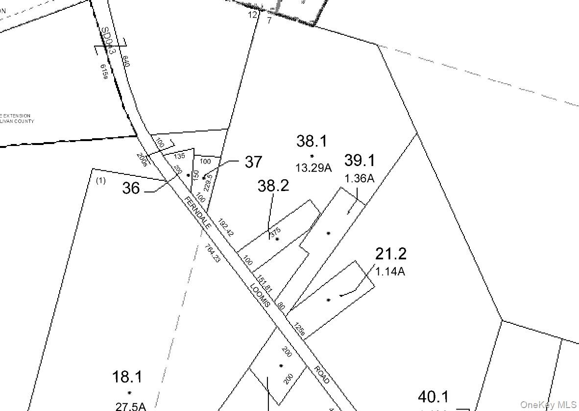 Ferndale Loomis Road NE, Liberty, NY 12754