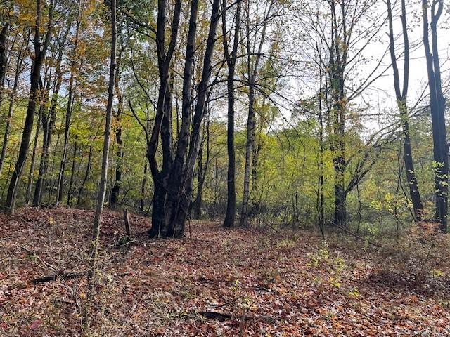 Ferndale Loomis Road NE, Liberty, NY 12754