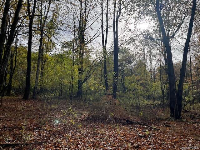 Ferndale Loomis Road NE, Liberty, NY 12754