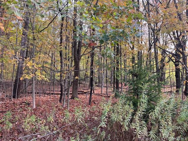 Ferndale Loomis Road NE, Liberty, NY 12754