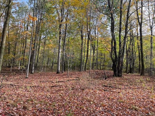 Ferndale Loomis Road NE, Liberty, NY 12754