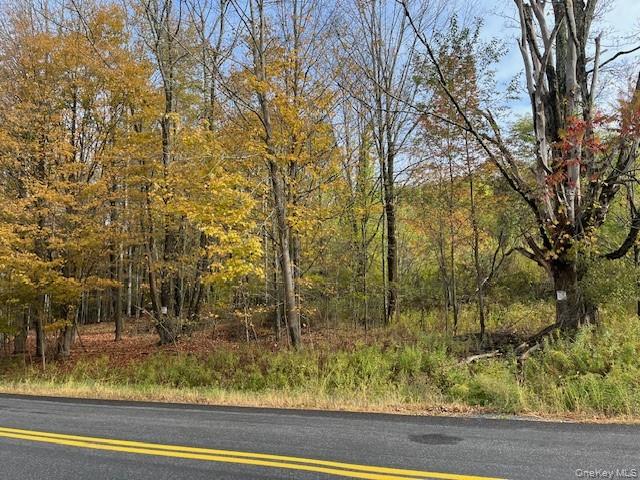 Ferndale Loomis Road NE, Liberty, NY 12754