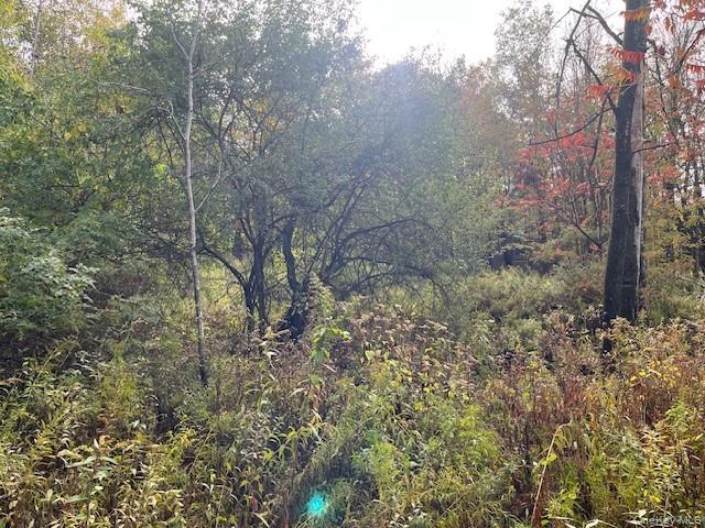 Ferndale Loomis Road NE, Liberty, NY 12754