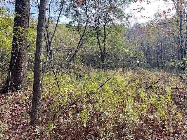 Ferndale Loomis Road NE, Liberty, NY 12754