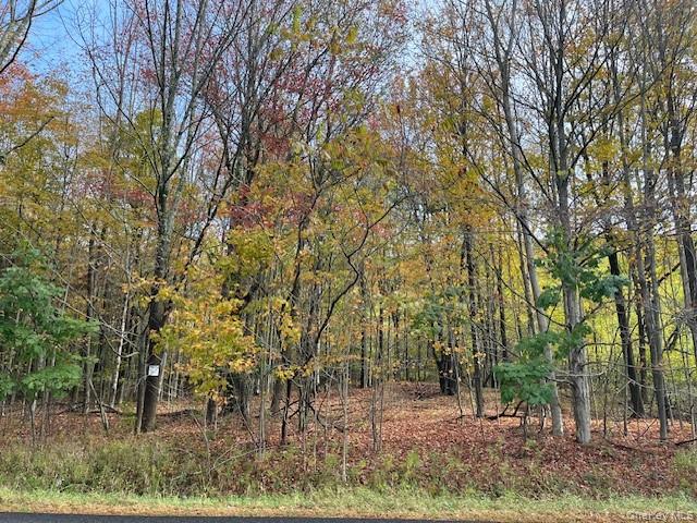 Ferndale Loomis Road NE, Liberty, NY 12754