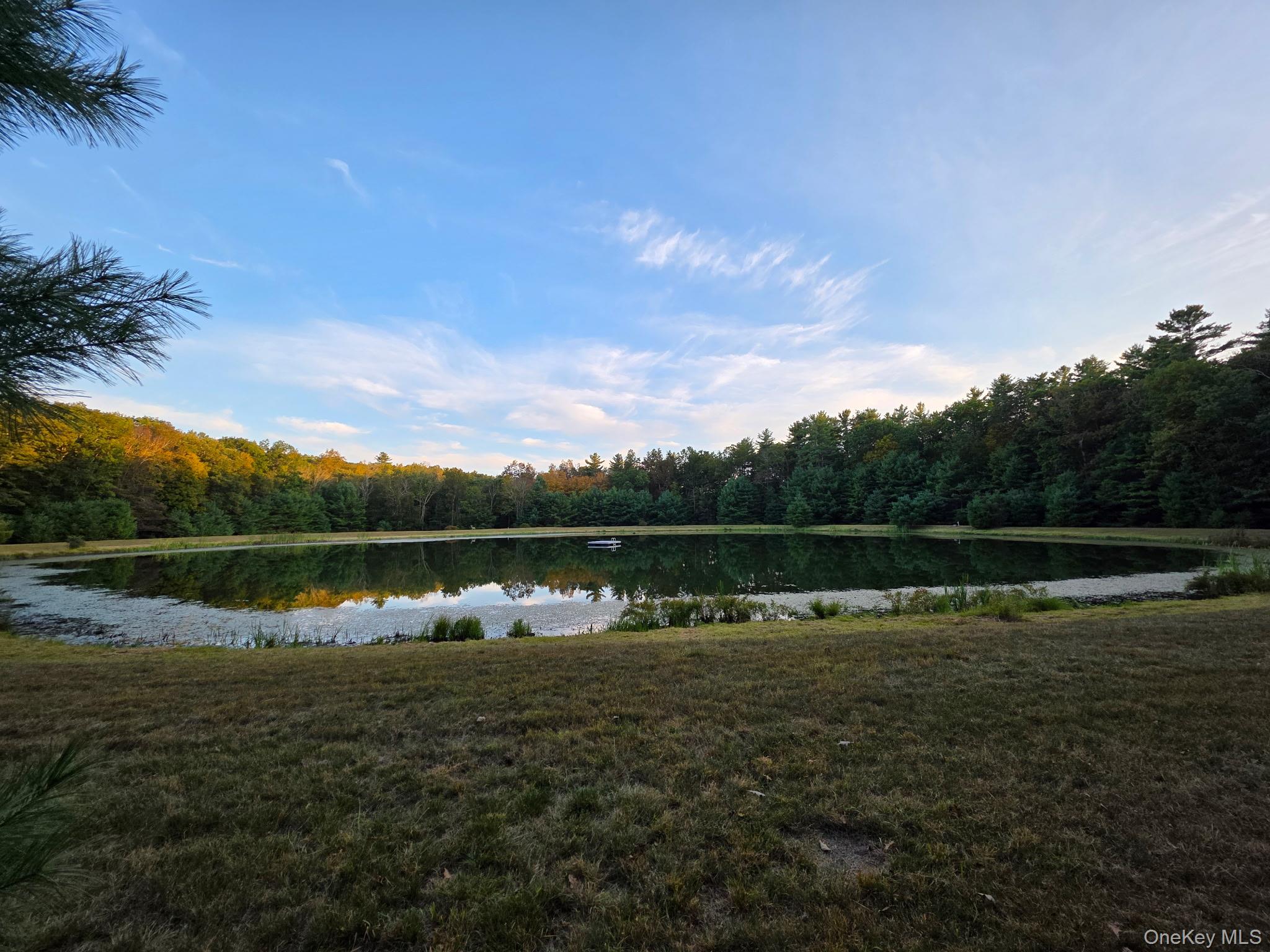 Black Bear Court, Barryville, NY 12719