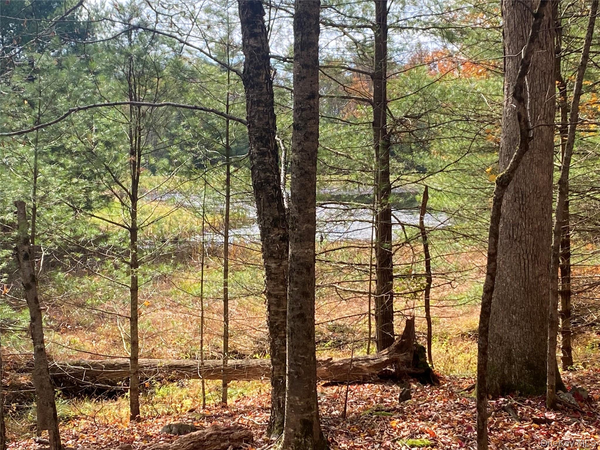 Black Bear Court, Barryville, NY 12719