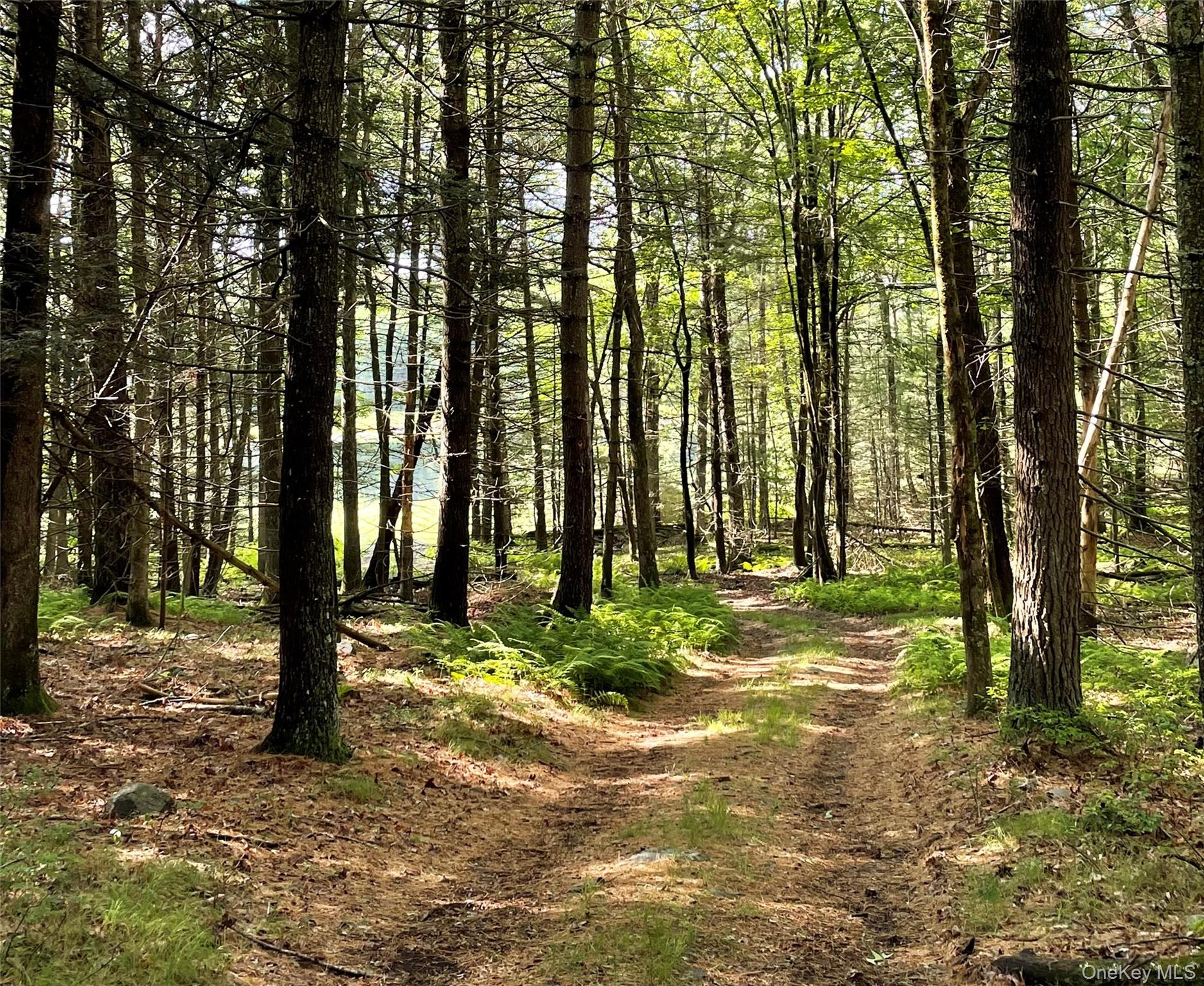 Black Bear Court, Barryville, NY 12719