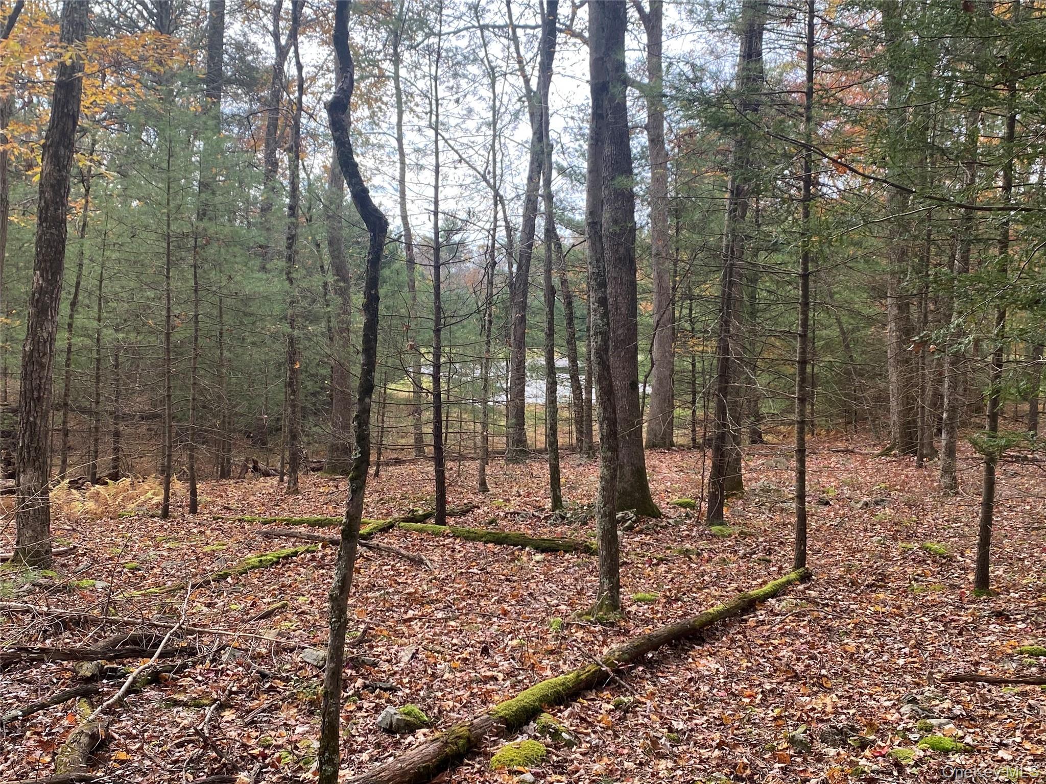 Black Bear Court, Barryville, NY 12719