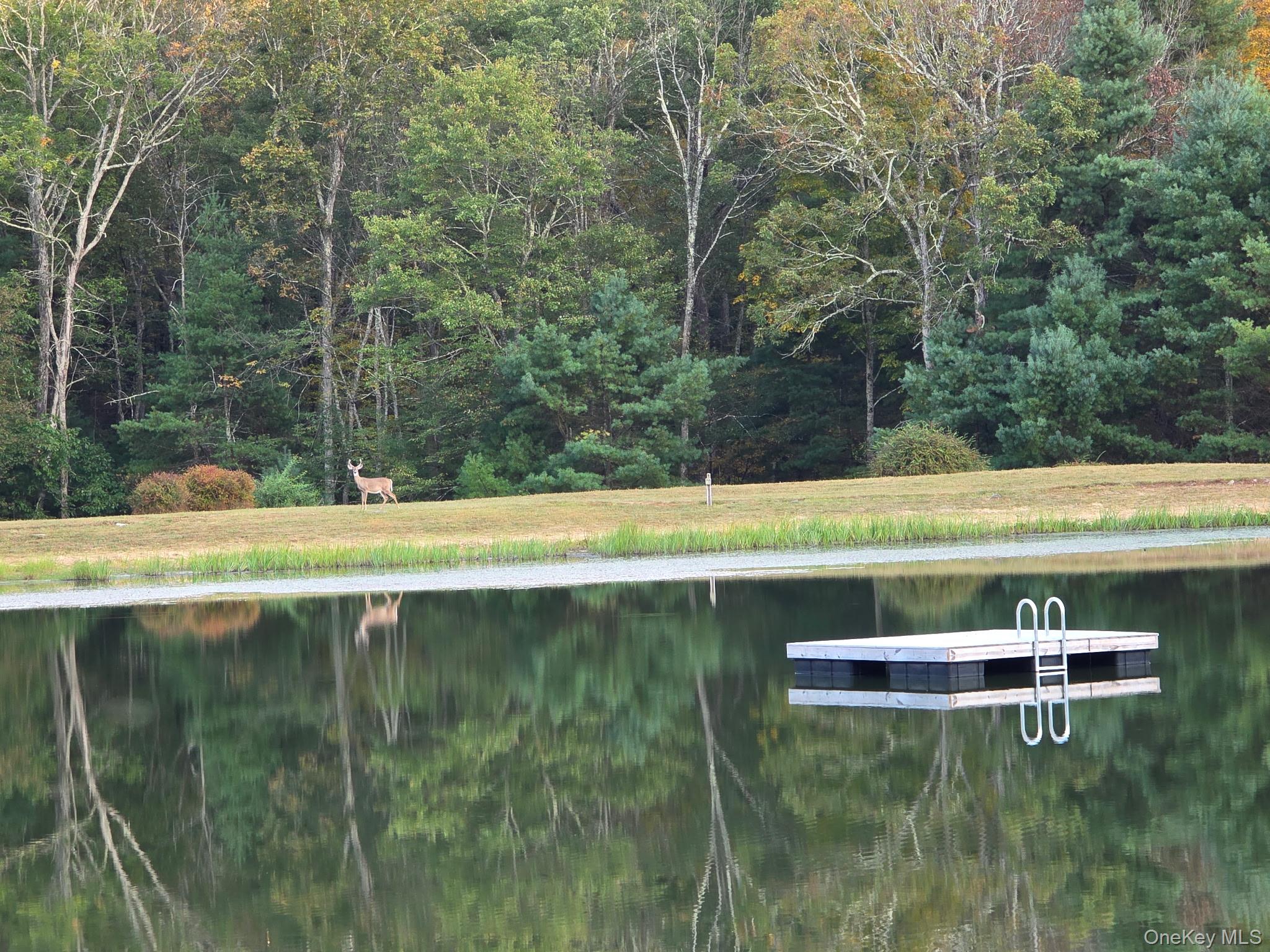 Black Bear Court, Barryville, NY 12719