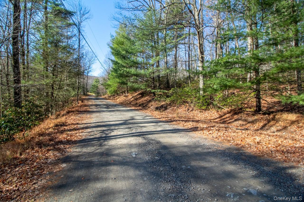 140 Stillerberg Strada, Rochester, NY 12446