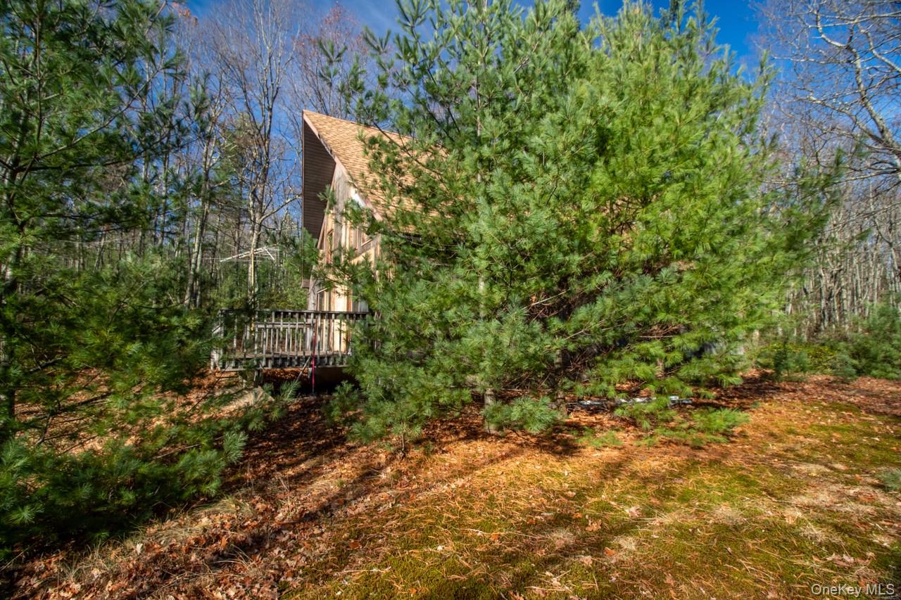 140 Stillerberg Strada, Rochester, NY 12446