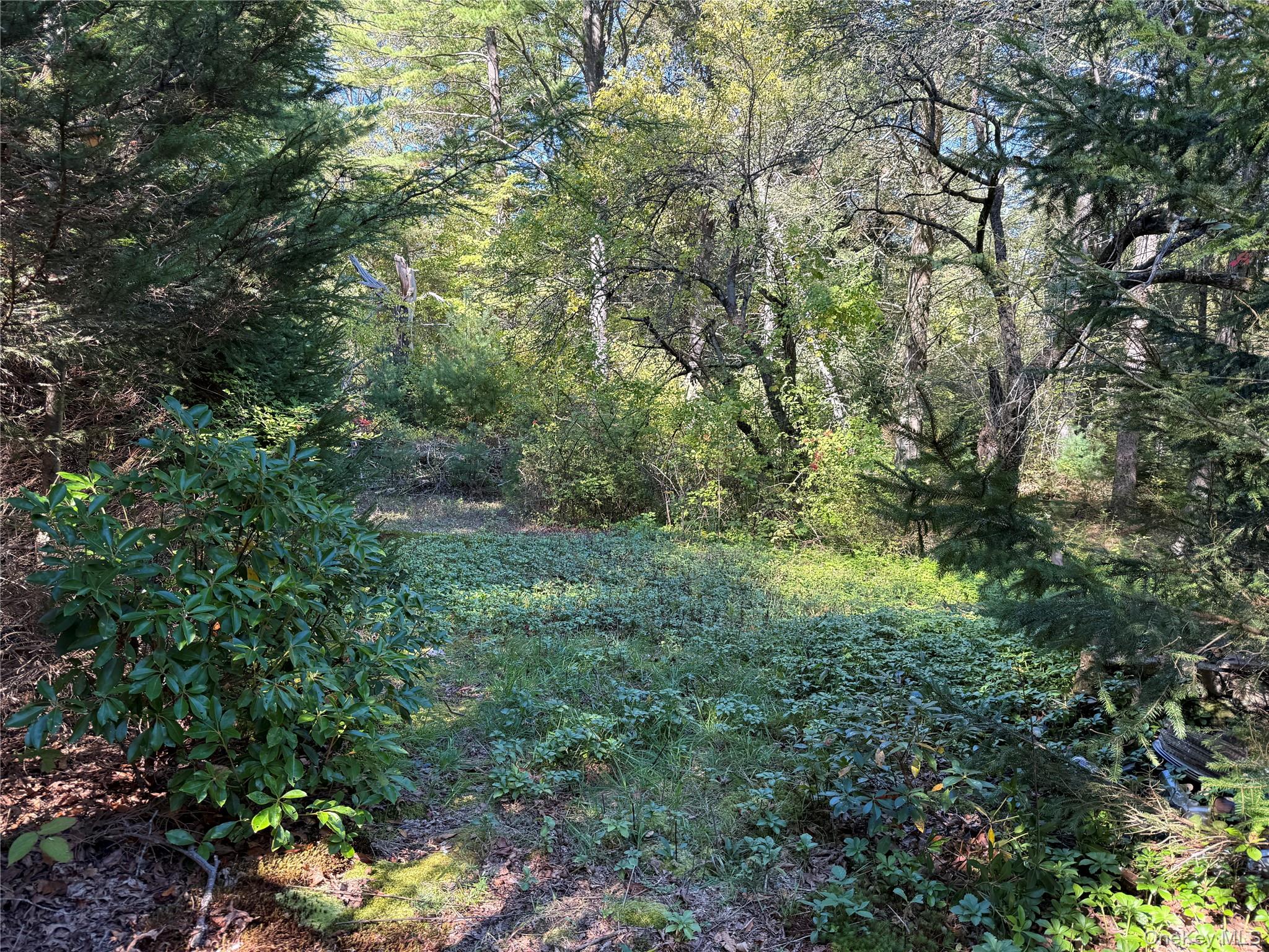 98 Eastwoods Road, Pound Ridge, NY 10576