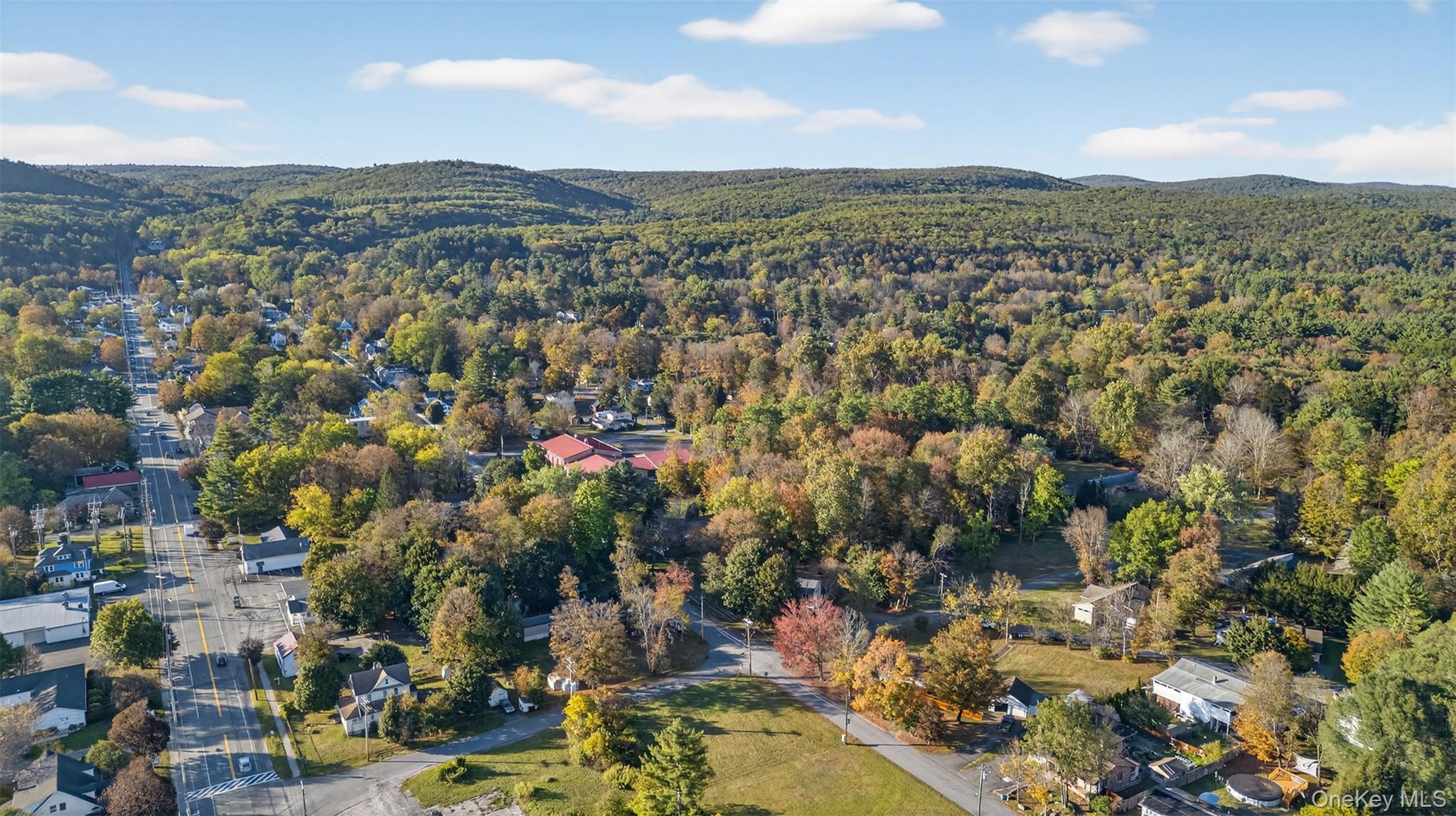 TBD Henry Street, Wurtsboro, NY 12790