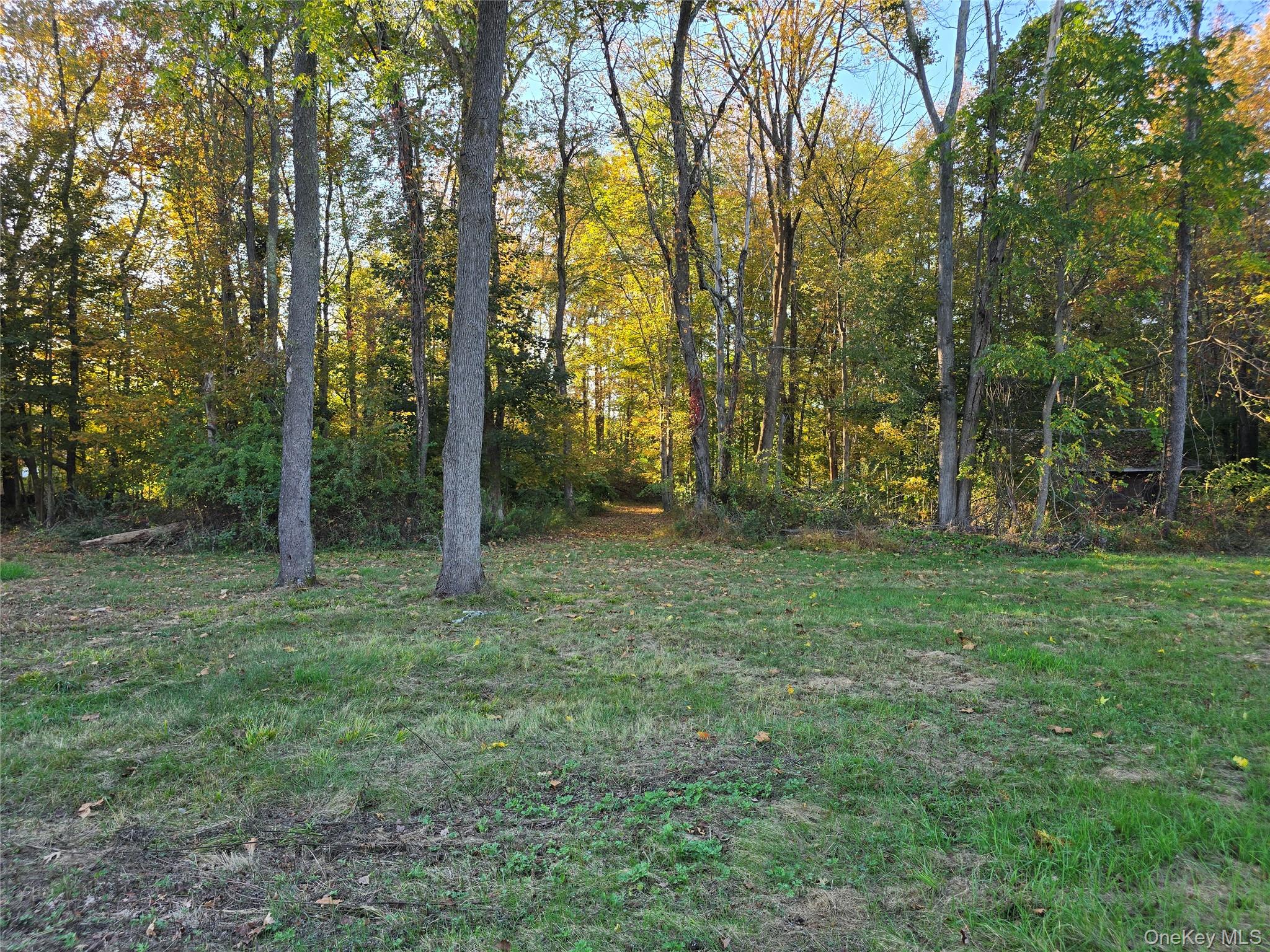 TBD Henry Street, Wurtsboro, NY 12790