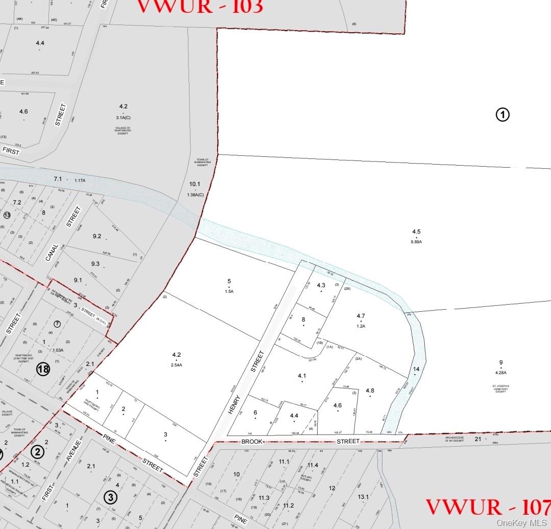 TBD Henry Street, Wurtsboro, NY 12790