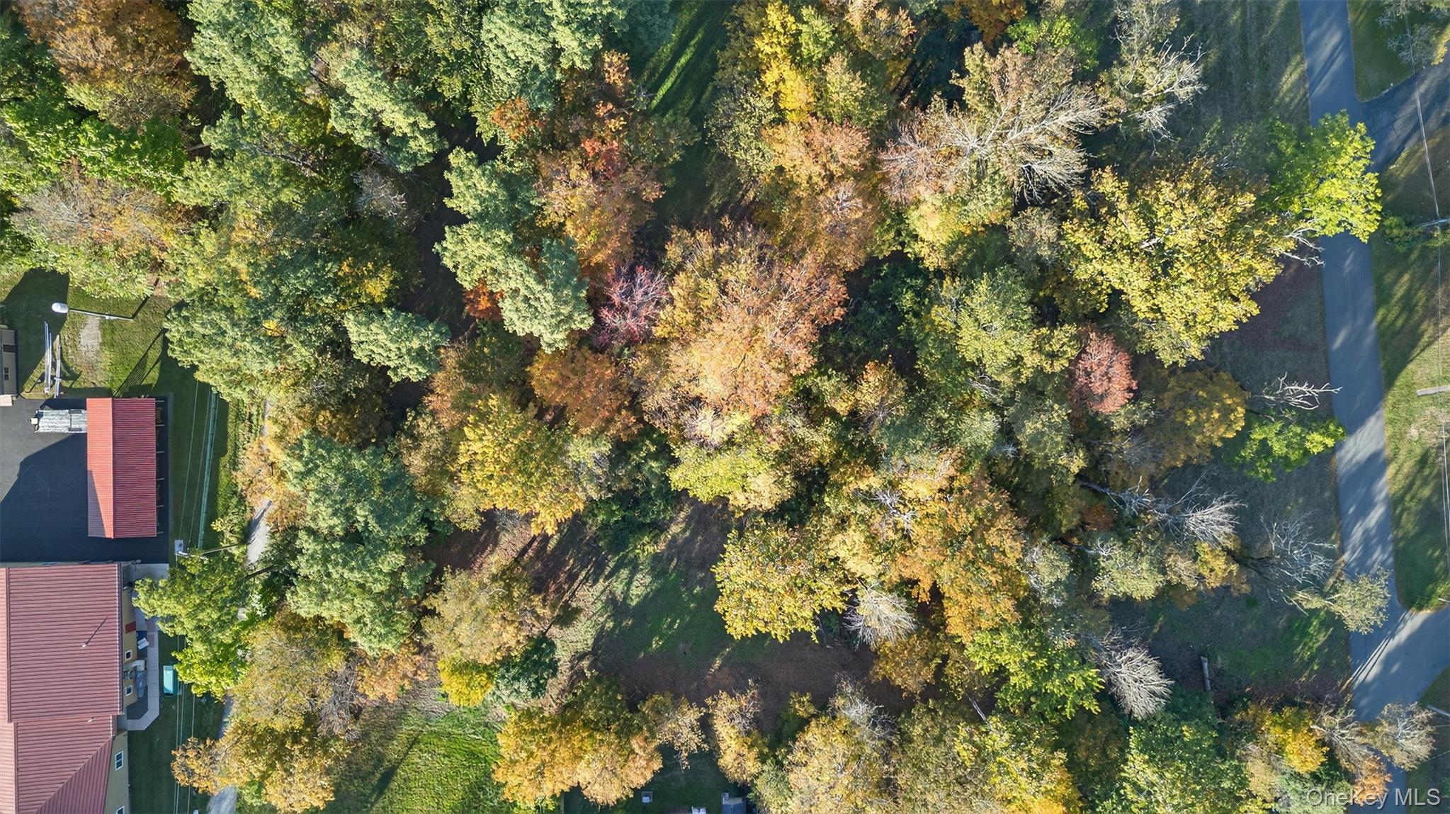 TBD Henry Street, Wurtsboro, NY 12790