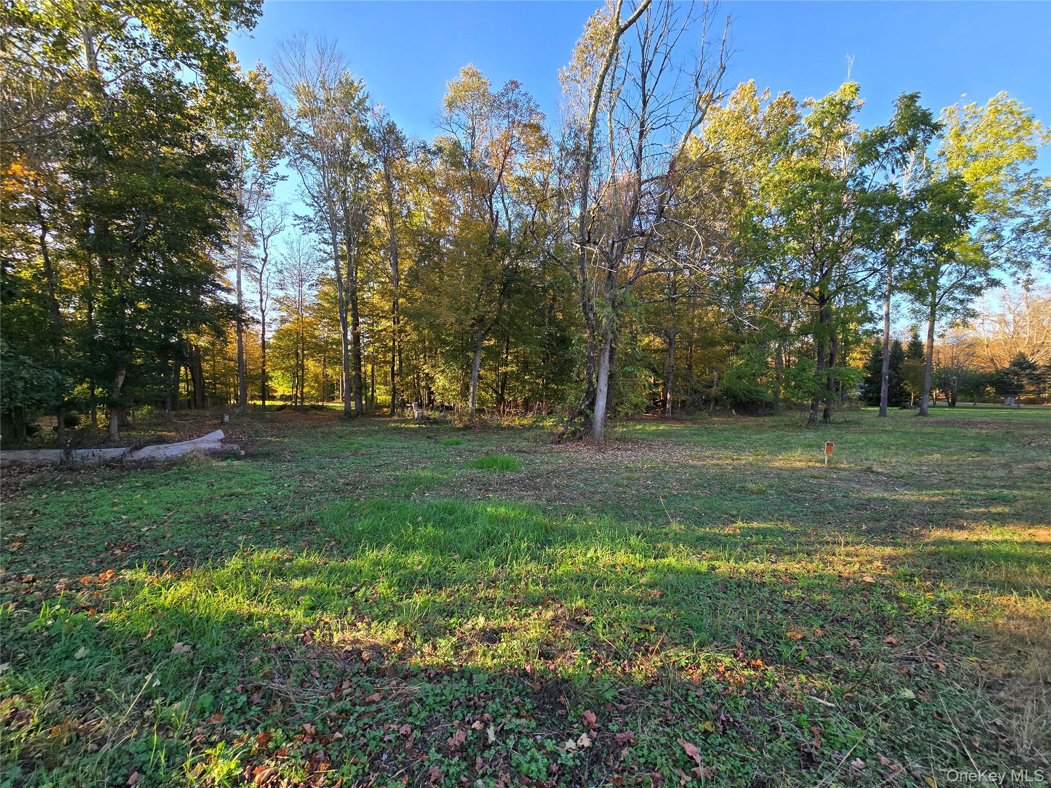 TBD Henry Street, Wurtsboro, NY 12790