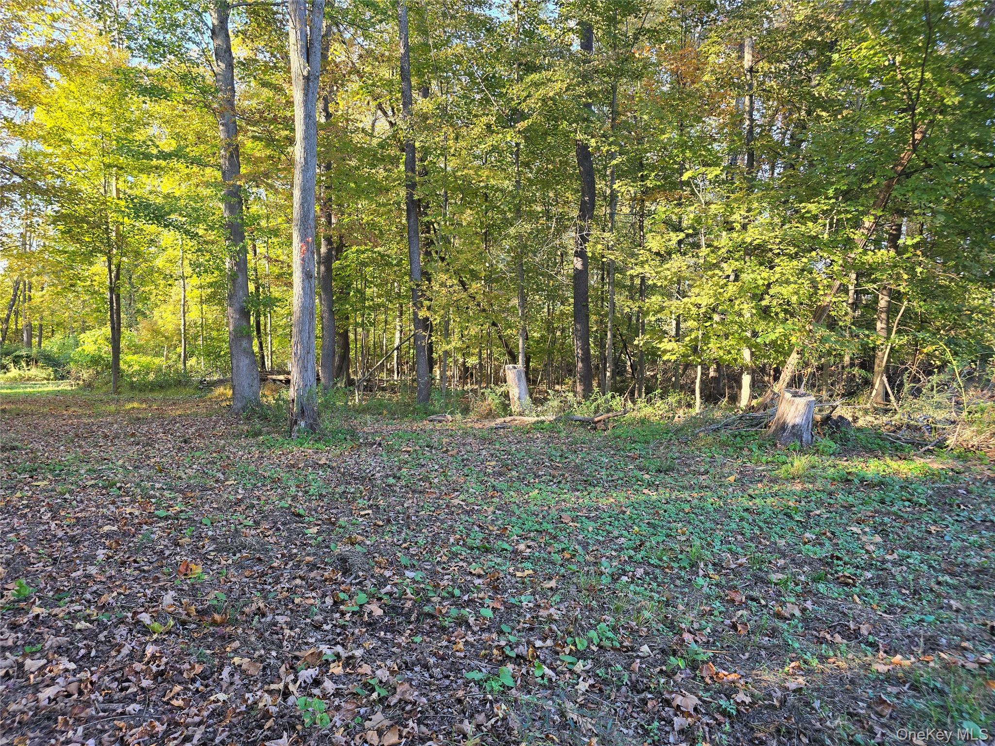 TBD Henry Street, Wurtsboro, NY 12790