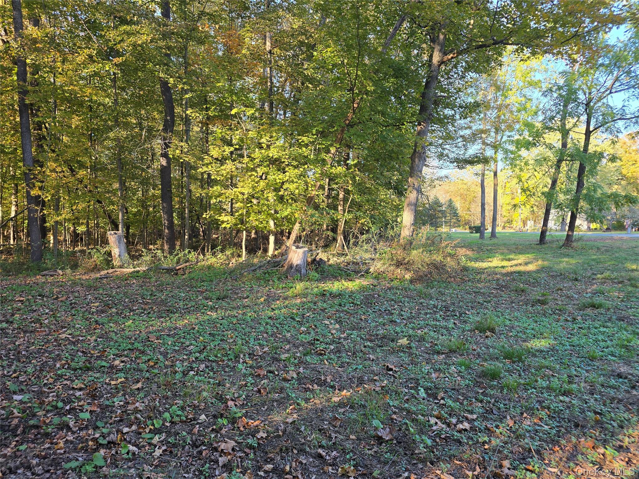 TBD Henry Street, Wurtsboro, NY 12790