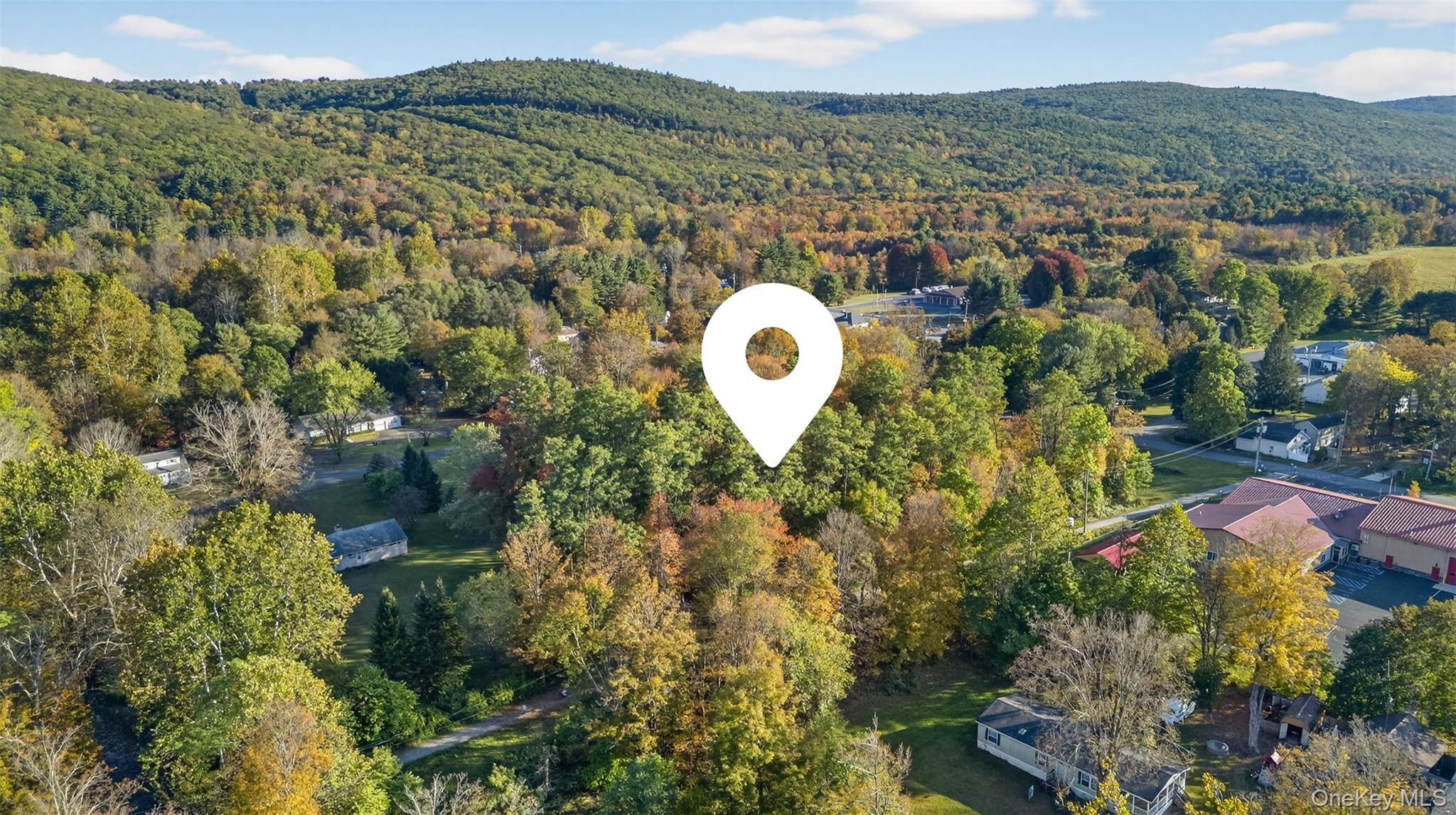 TBD Henry Street, Wurtsboro, NY 12790