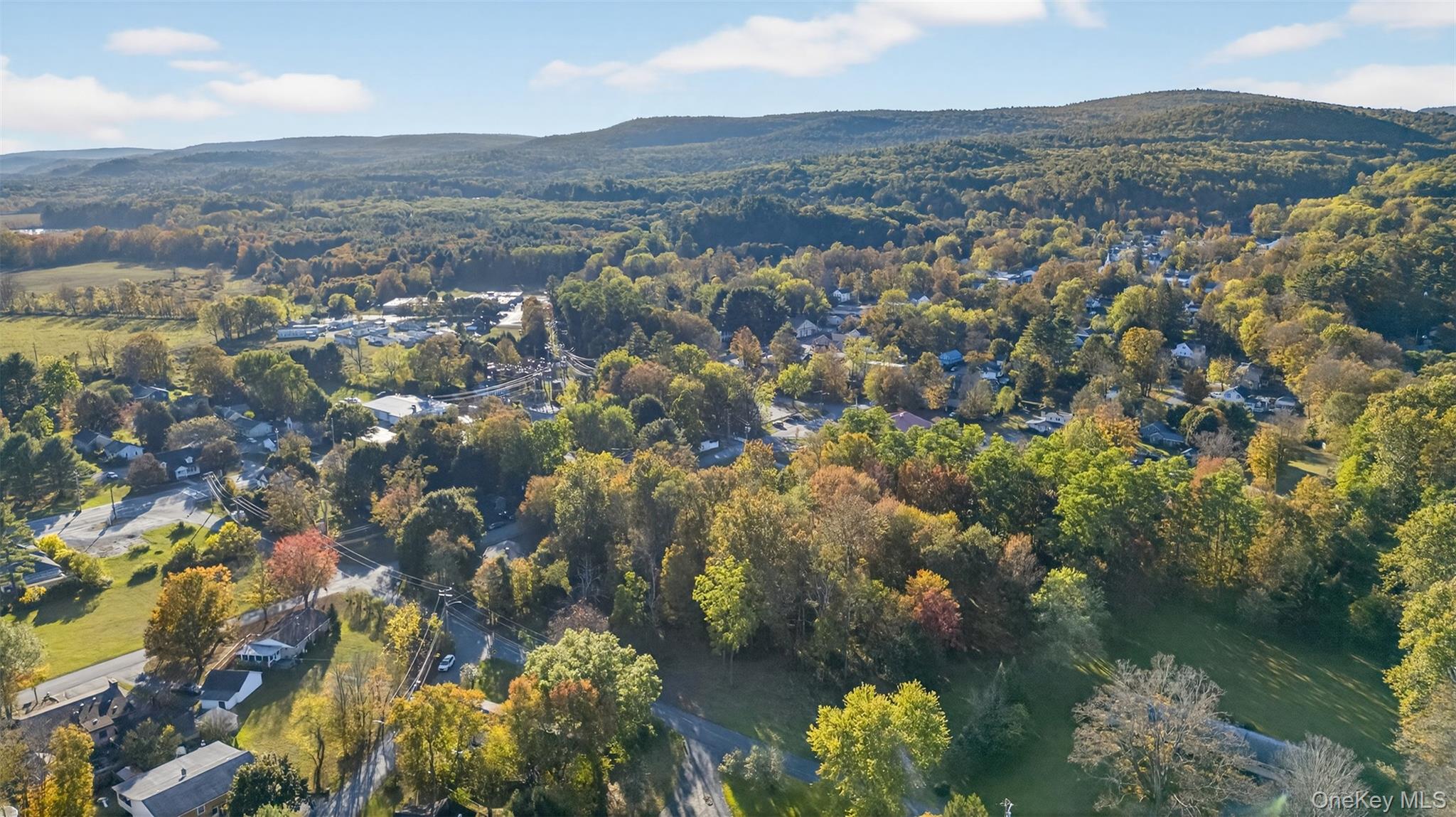 TBD Henry Street, Wurtsboro, NY 12790