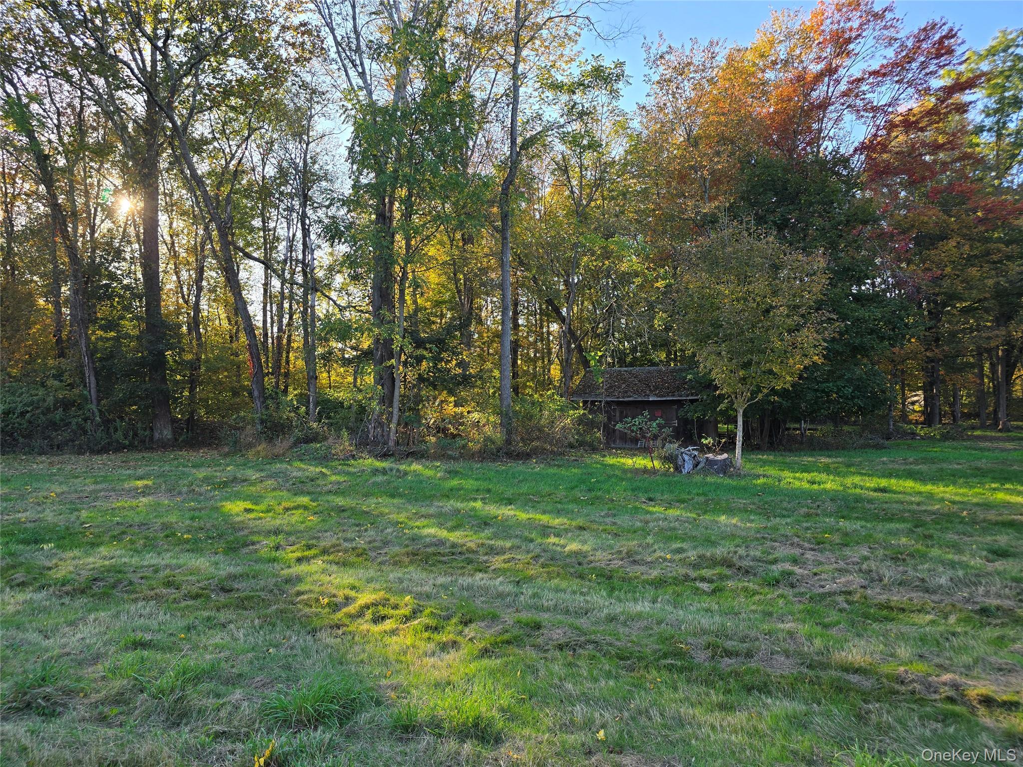 TBD Henry Street, Wurtsboro, NY 12790