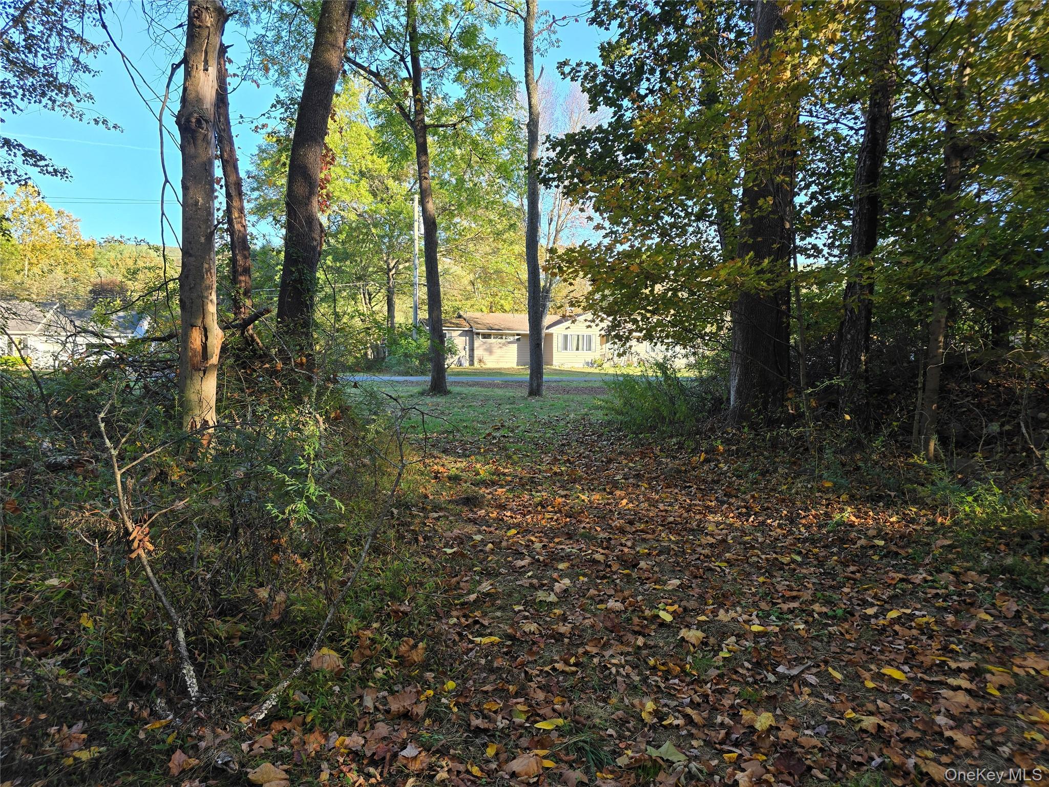 TBD Henry Street, Wurtsboro, NY 12790