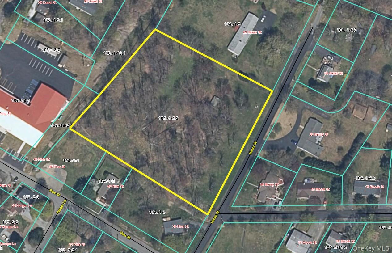 TBD Henry Street, Wurtsboro, NY 12790