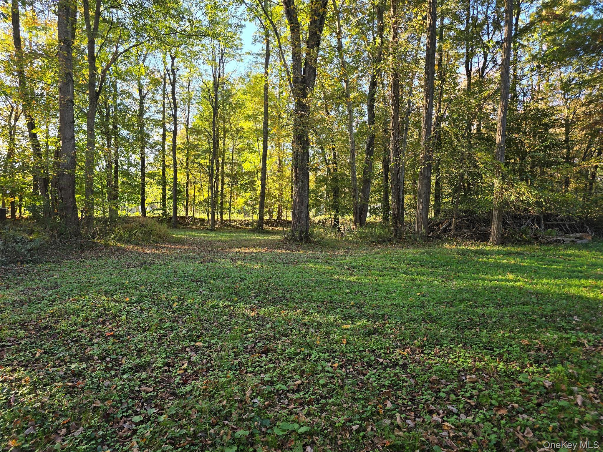 TBD Henry Street, Wurtsboro, NY 12790