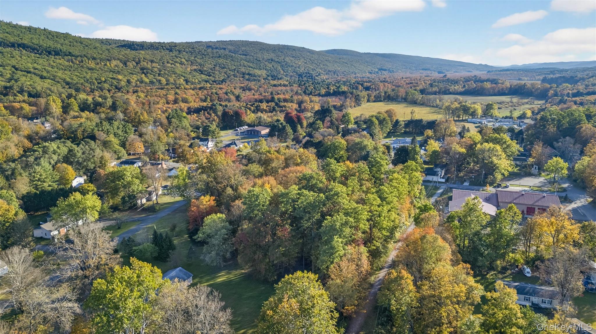 TBD Henry Street, Wurtsboro, NY 12790