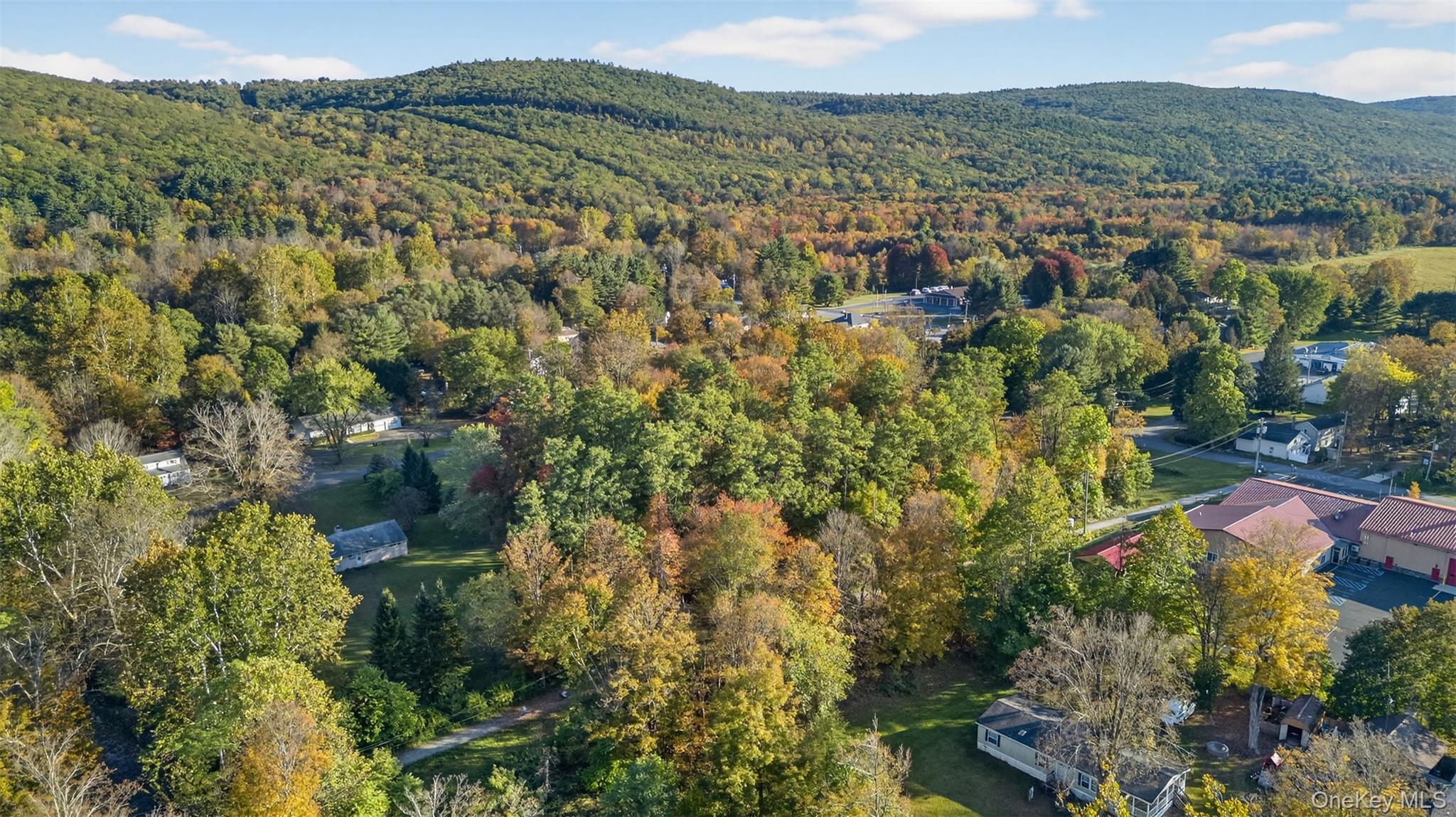 TBD Henry Street, Wurtsboro, NY 12790