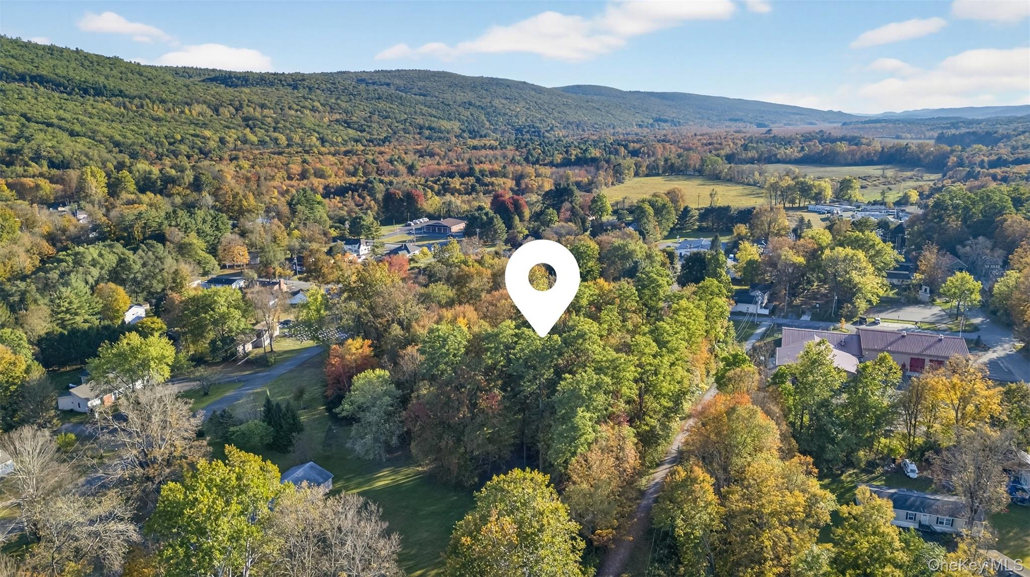 TBD Henry Street, Wurtsboro, NY 12790