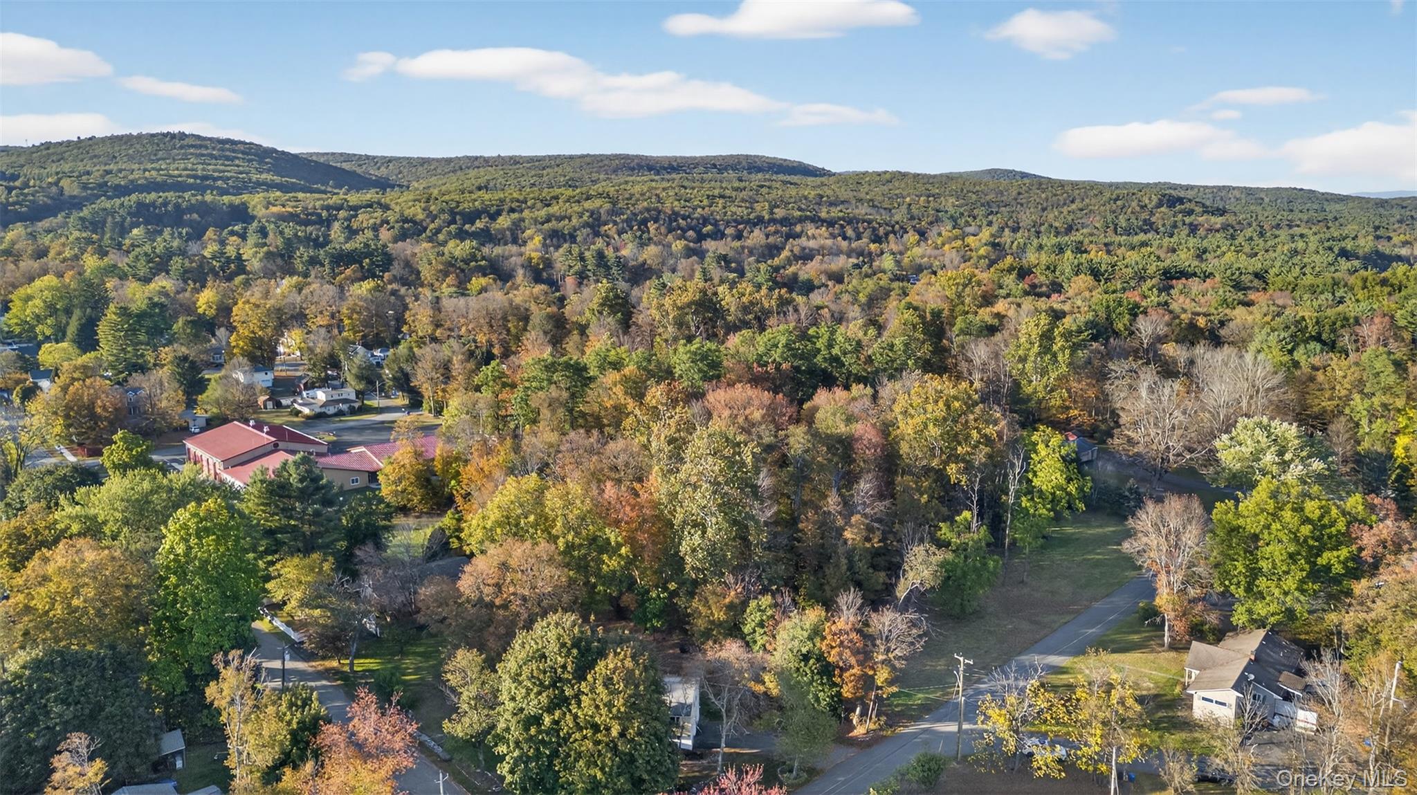 TBD Henry Street, Wurtsboro, NY 12790