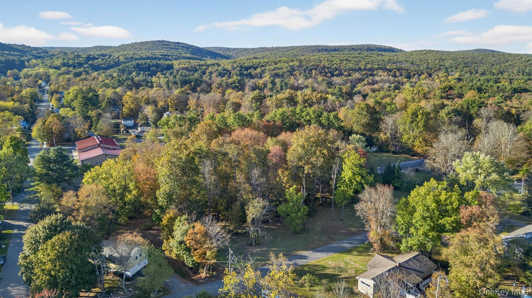 TBD Henry Street, Wurtsboro, NY 12790