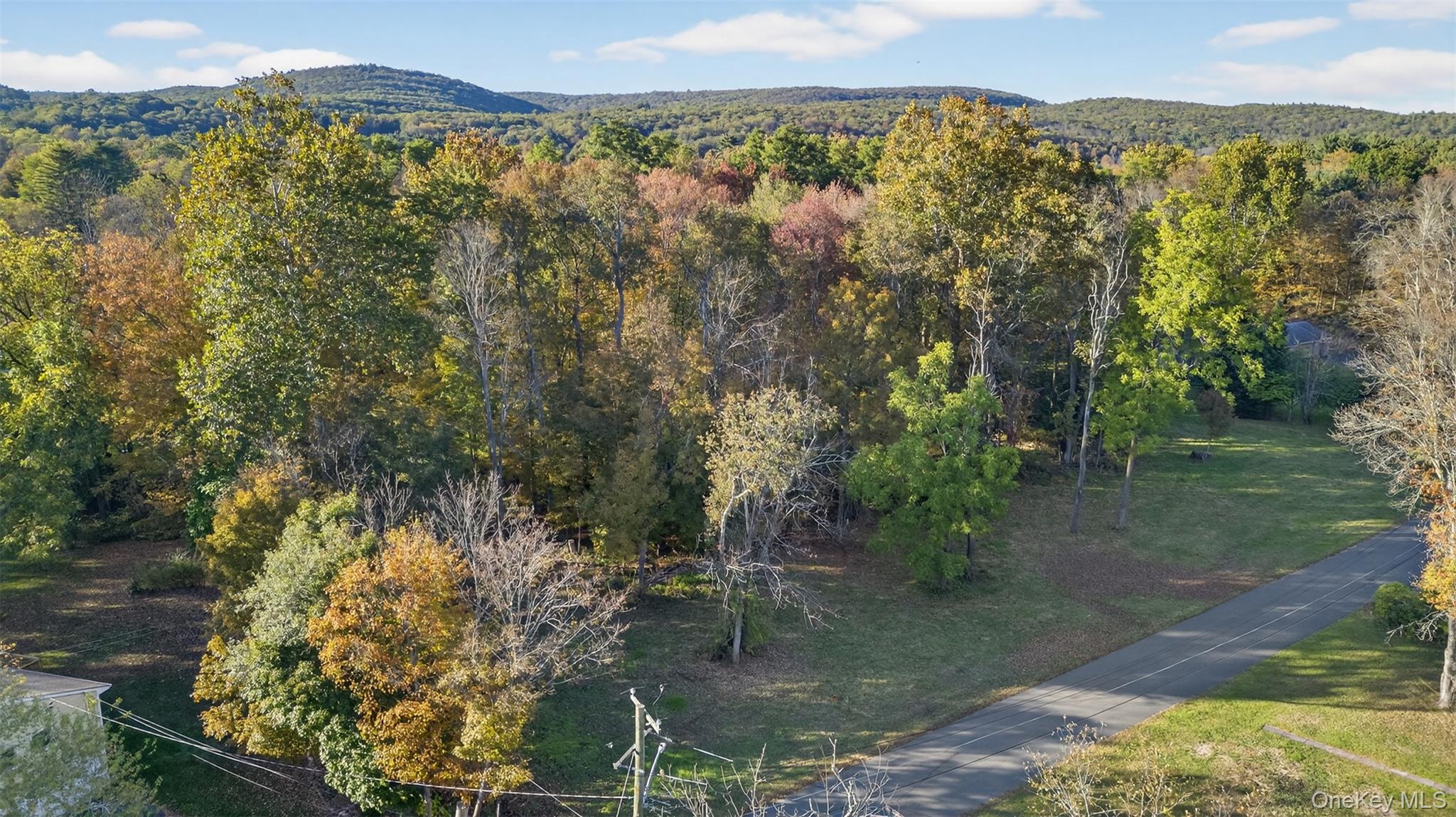 TBD Henry Street, Wurtsboro, NY 12790