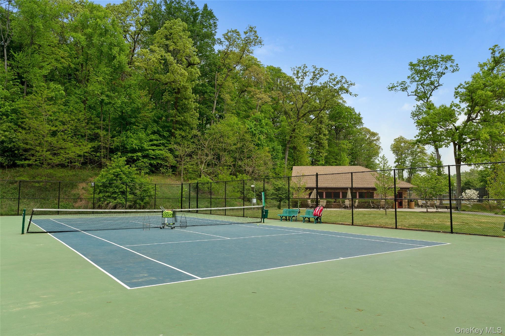 39 Hummingbird Drive, East Hills, NY 11576