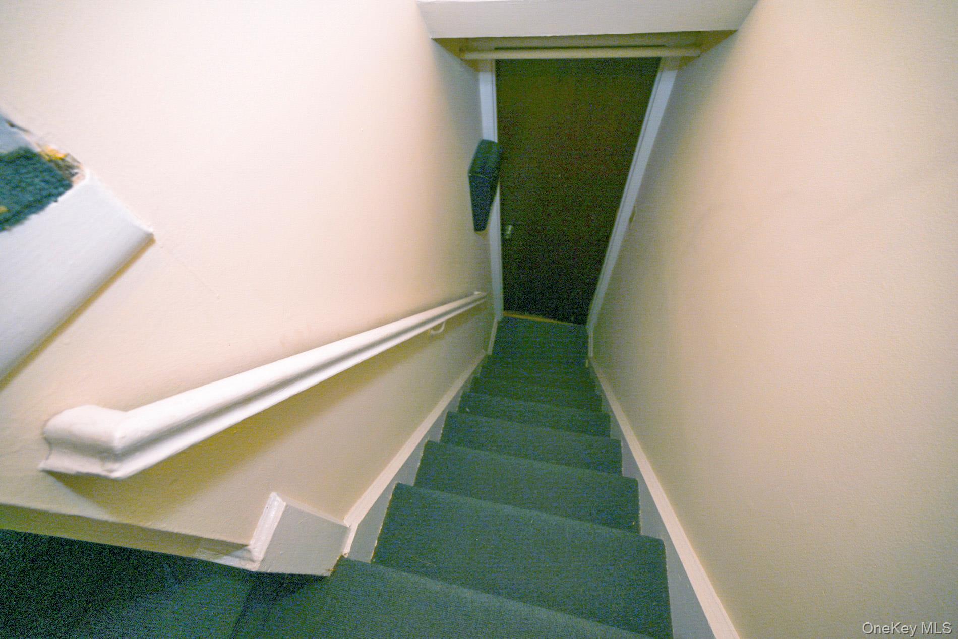 8223 Caldwell Avenue, Middle Village, NY 11379