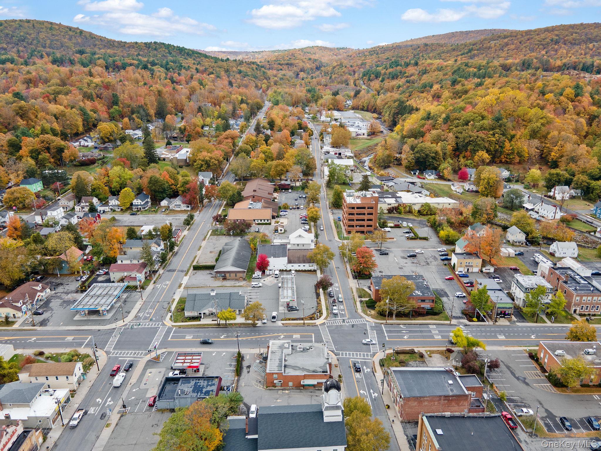 83 Canal Street, Ellenville, NY 12428