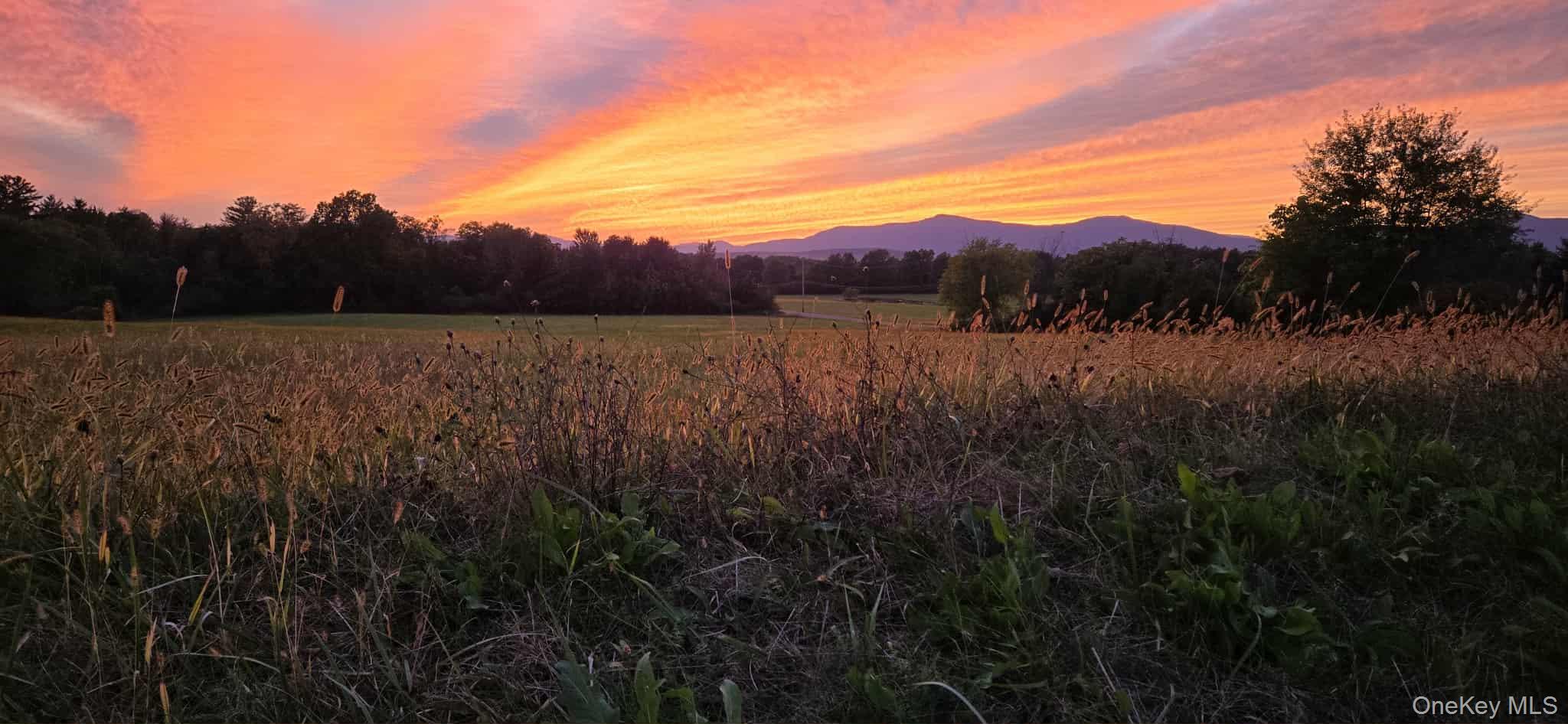 9 Elizabeth Drive # 29B, Tivoli, NY 12583