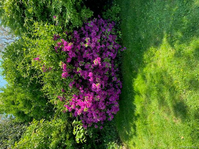 170 Wickfield Lane, North Babylon, NY 11703