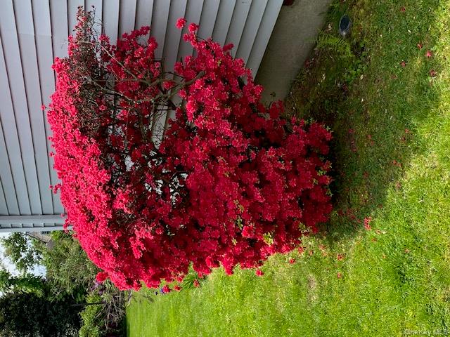 170 Wickfield Lane, North Babylon, NY 11703