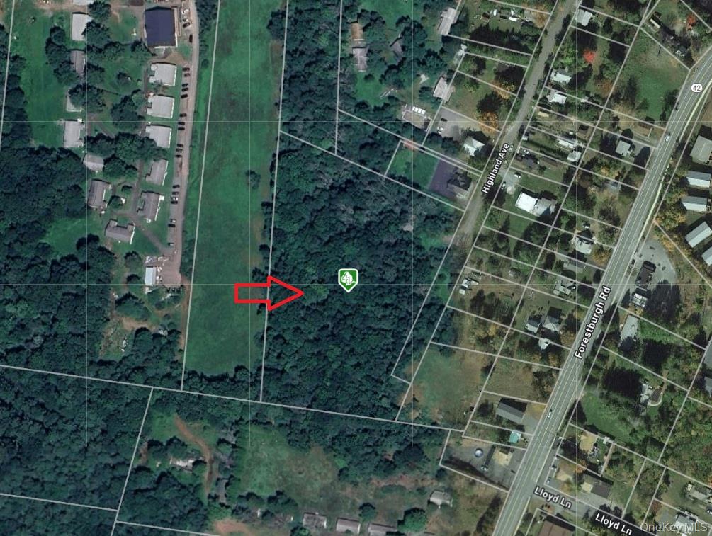 Highland Avenue, Monticello, NY 12701