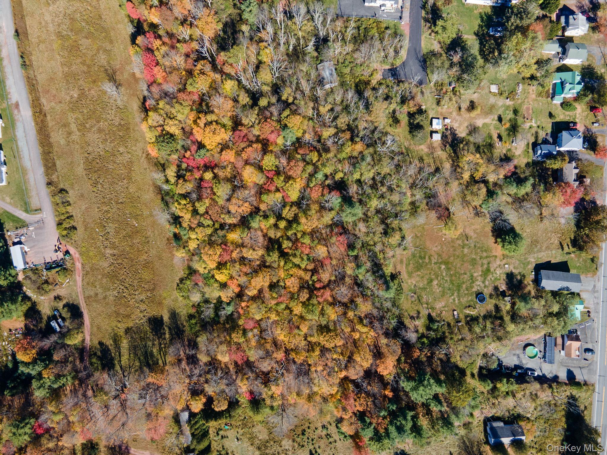 Highland Avenue, Monticello, NY 12701