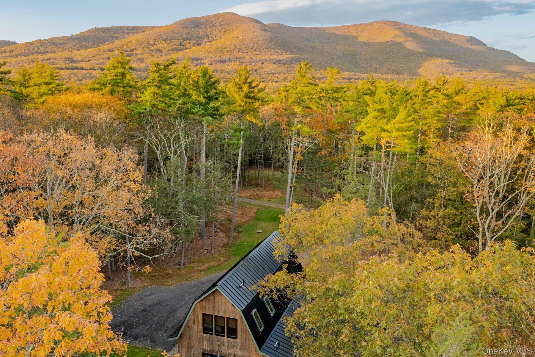 66 Plochmann Lane, Woodstock, NY 12498