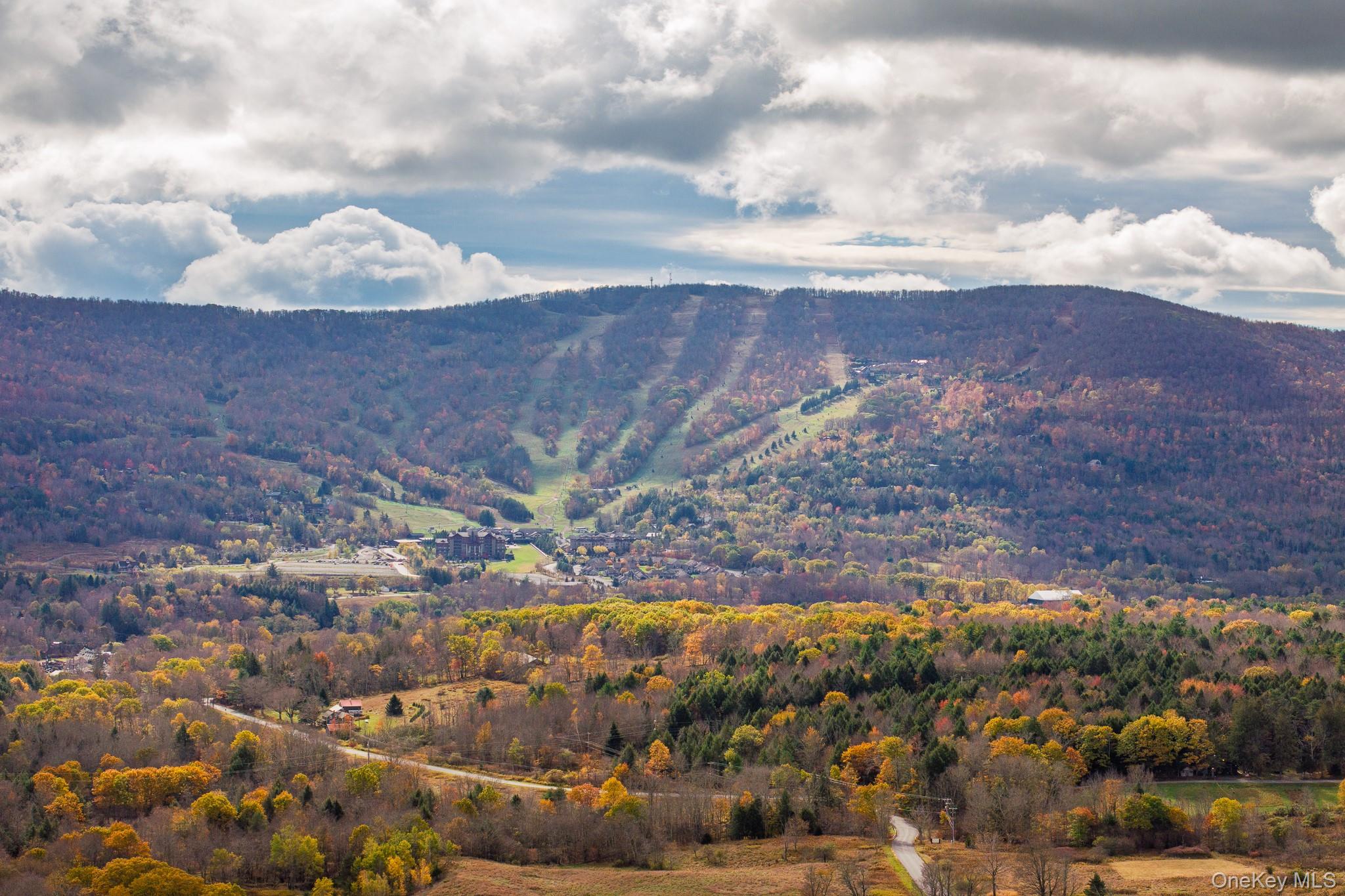 20 Brook Hollow Lane, Windham, NY 12496