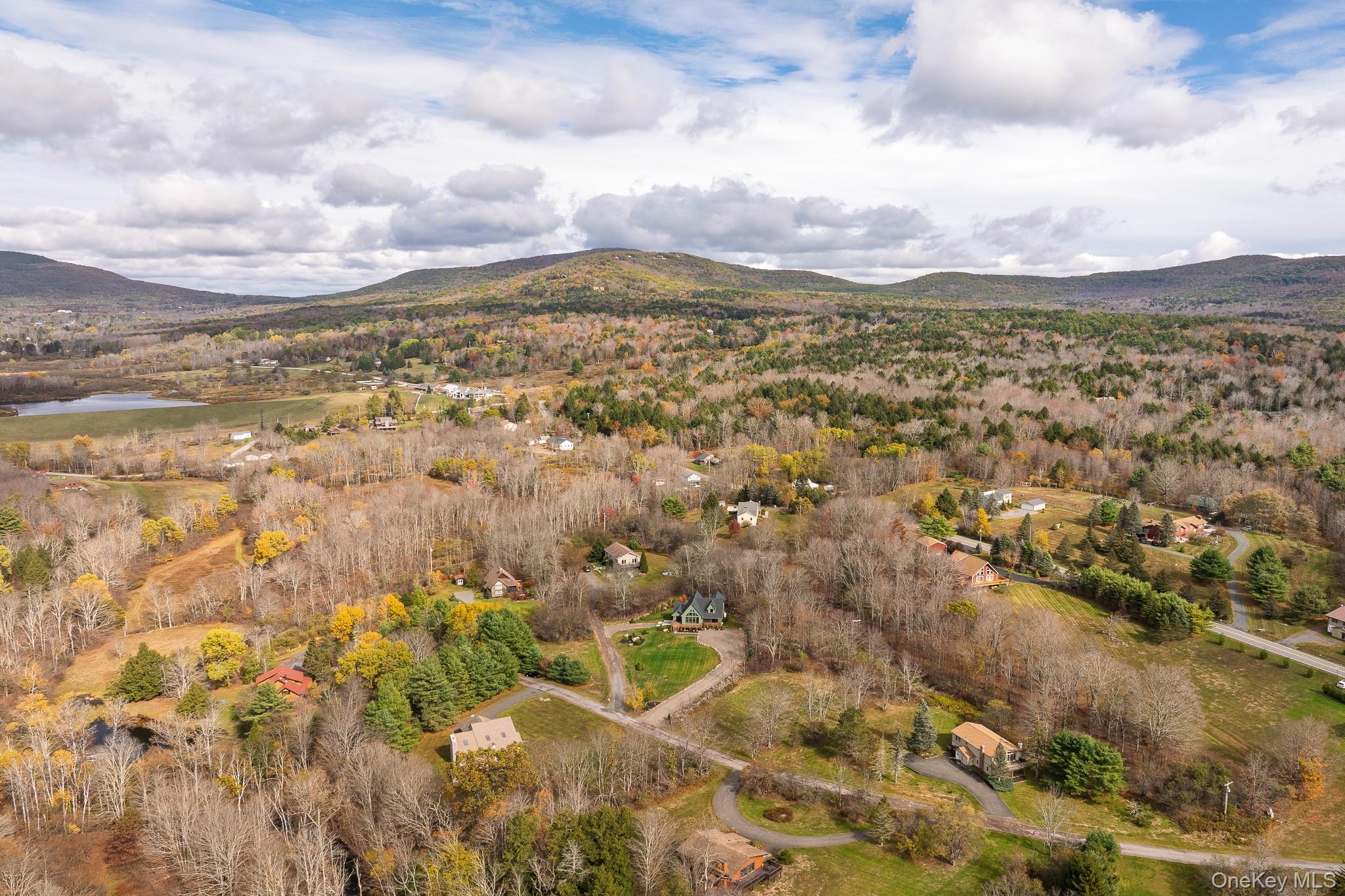 20 Brook Hollow Lane, Windham, NY 12496